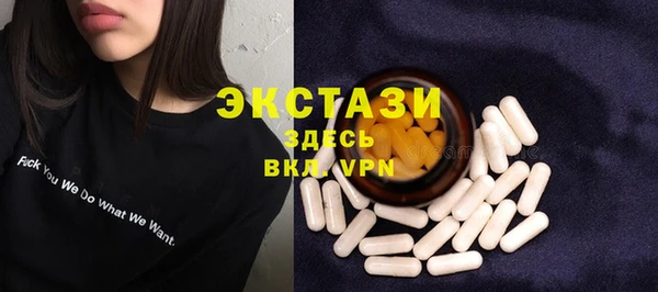дживик Няндома