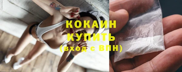 дживик Няндома