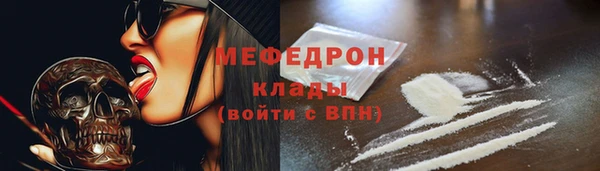 дживик Няндома