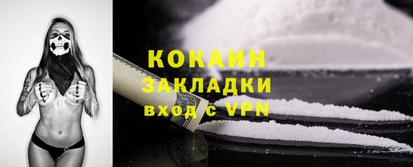 ALPHA-PVP Новозыбков