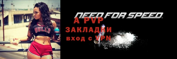 спиды Осинники