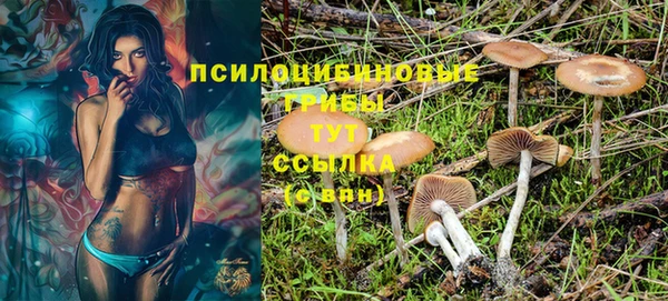 дживик Няндома