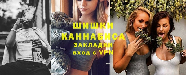 дживик Няндома
