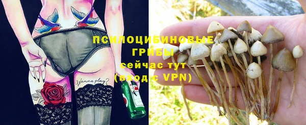 дживик Няндома