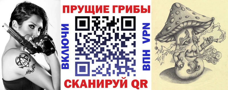 blacksprut ONION  Котово  Галлюциногенные грибы мицелий 