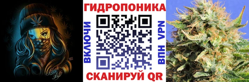Конопля MAZAR  Котово 
